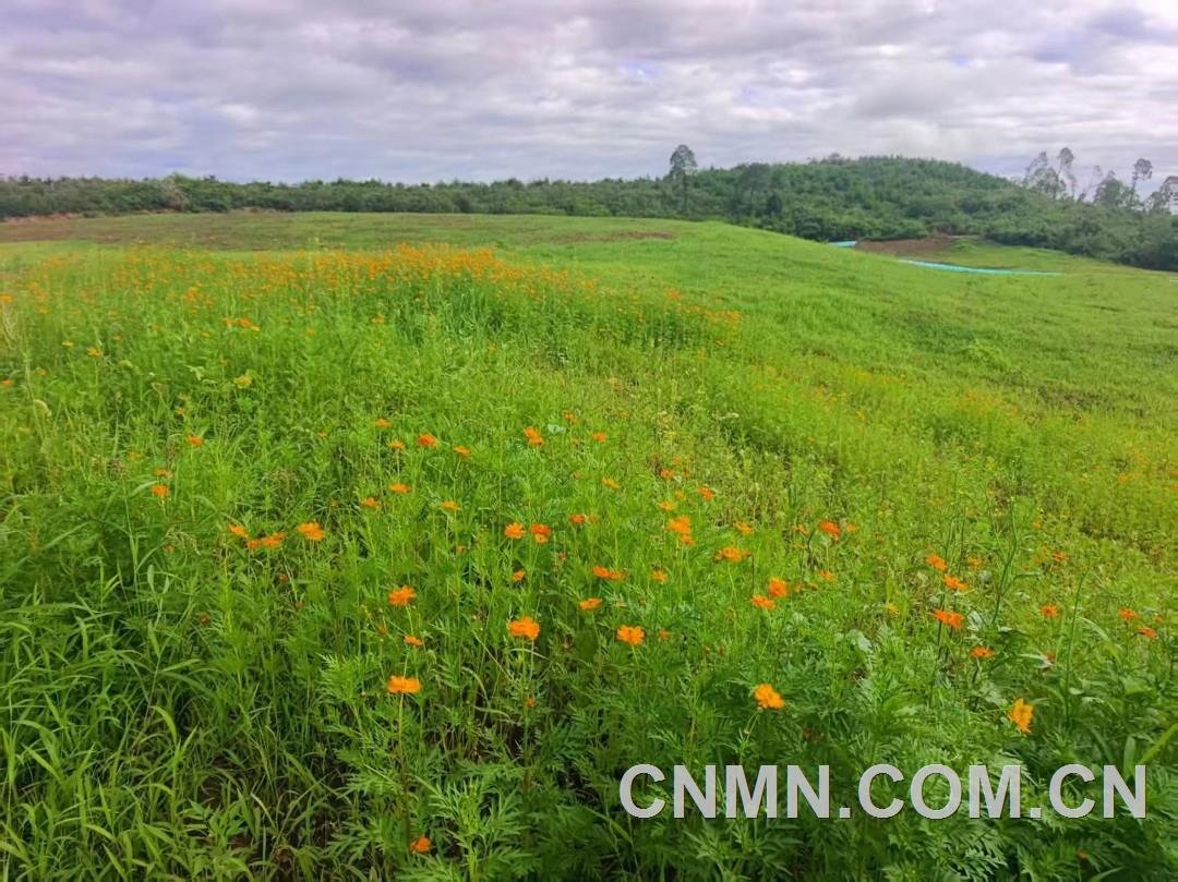 頭條-泰和縣某廢棄礦山生態(tài)修復(fù)后