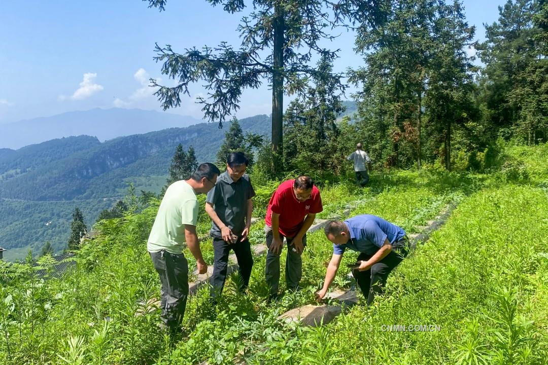 【鋁行者】扎根大水村的扶貧暖光——記西南鋁駐村第一書記青一威