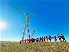 包頭鋁業可再生能源替代達茂旗120萬千瓦項目140臺風機全部吊裝完成